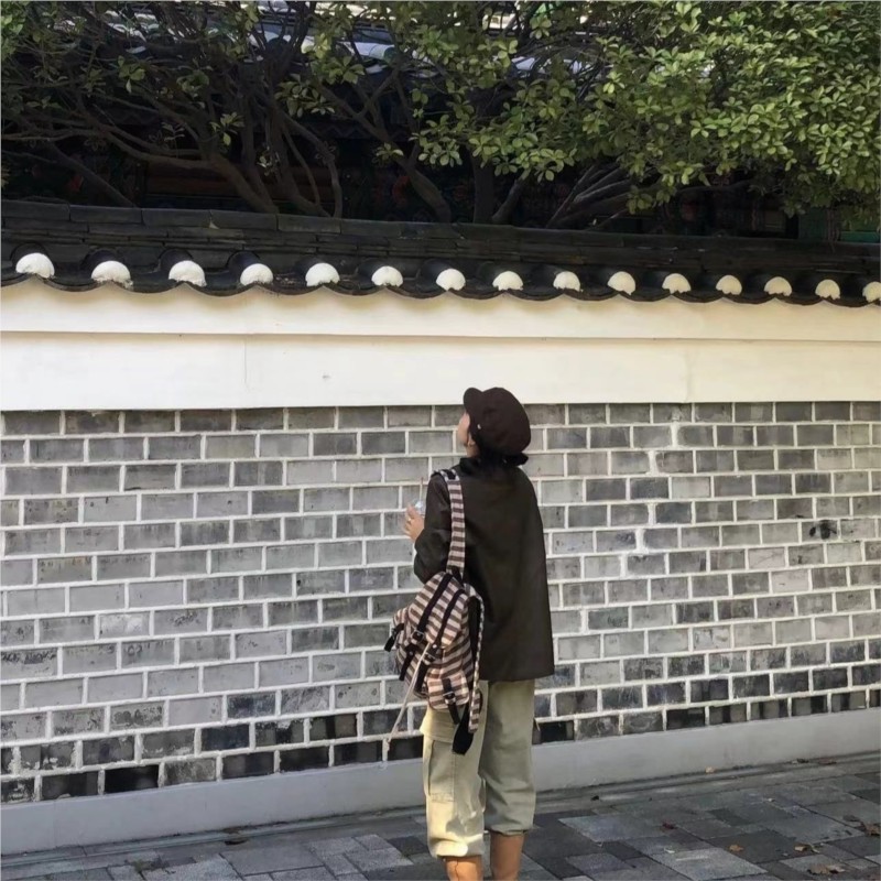 Harajuku Vintage Backpack Wome - Fashion Backpack Women recension och pris